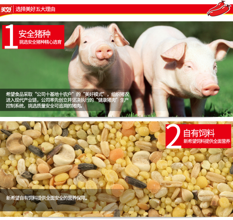 750优级170g火腿肠单支_03.jpg