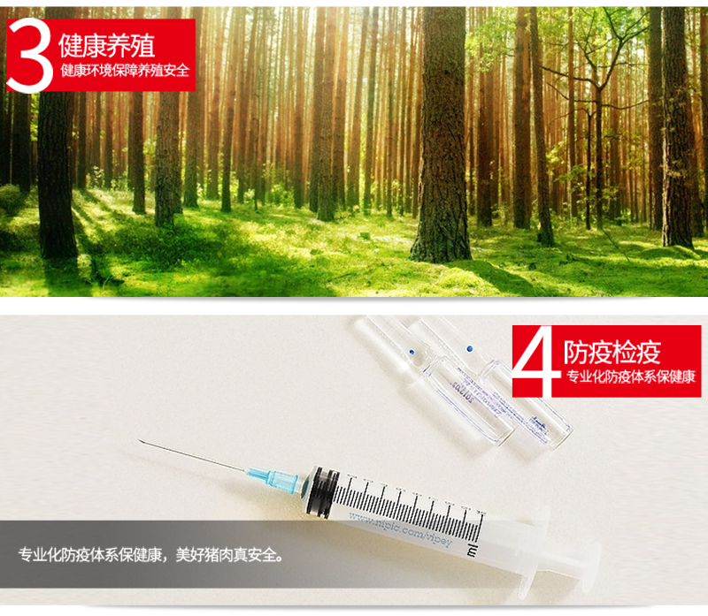 750优级170g火腿肠单支_04.jpg