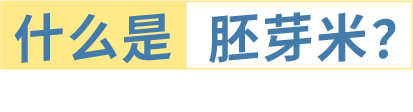 町芒评测 | 养娃必备!最全宝宝胚芽米选购攻略