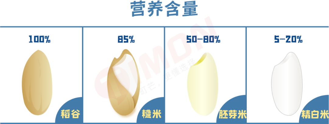 町芒评测 | 养娃必备!最全宝宝胚芽米选购攻略
