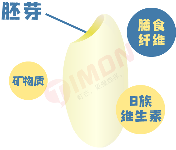 町芒评测 | 养娃必备!最全宝宝胚芽米选购攻略