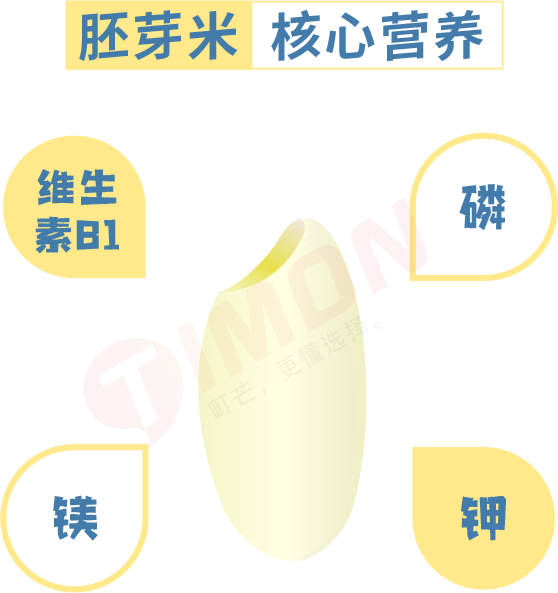 町芒评测 | 养娃必备！最全宝宝胚芽米选购攻略