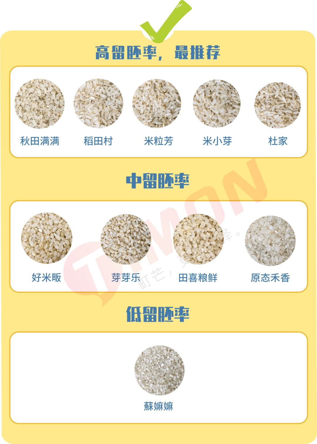 町芒评测 | 养娃必备!最全宝宝胚芽米选购攻略