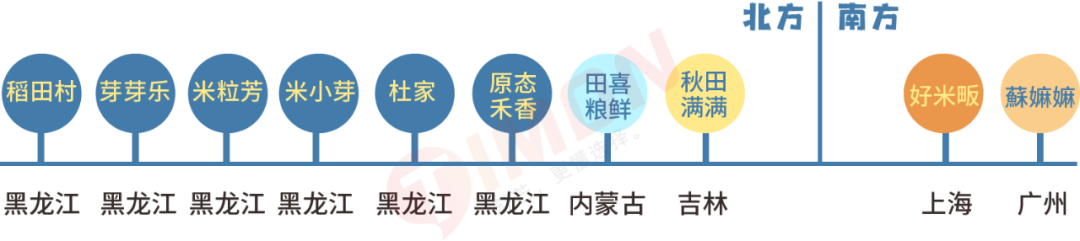 町芒评测 | 养娃必备!最全宝宝胚芽米选购攻略