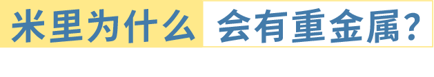 町芒评测 | 养娃必备!最全宝宝胚芽米选购攻略
