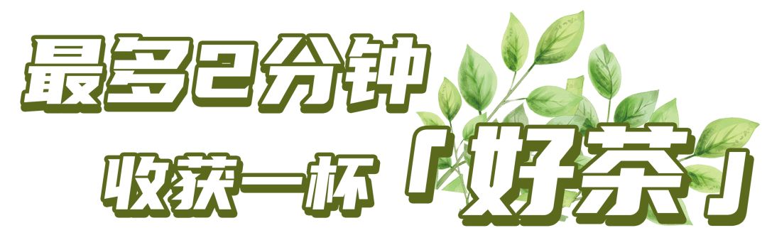 町芒尝鲜 | 5秒喝到香浓好茶?棒棒茶拯救怕麻烦精