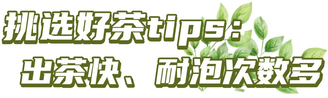 町芒尝鲜 | 5秒喝到香浓好茶?棒棒茶拯救怕麻烦精