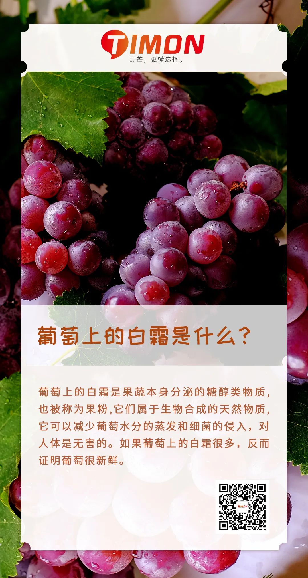 识物计划 | 葡萄上的白霜是什么？