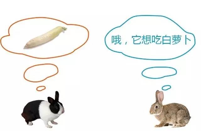 你不能不知道的沟通八大心法