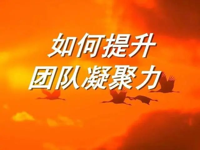 如何管理好营销团队？资深业内人是这样操作的