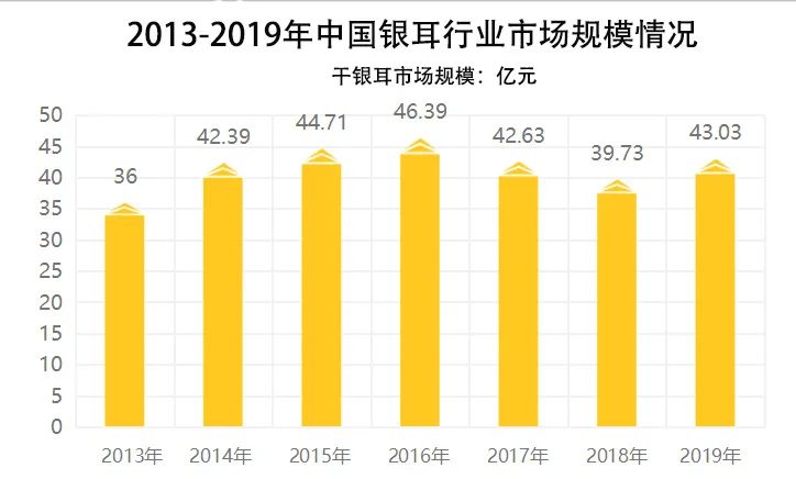 米仓耳记CEO马仁平:打破银耳局限,焕发食用菌产业新生机