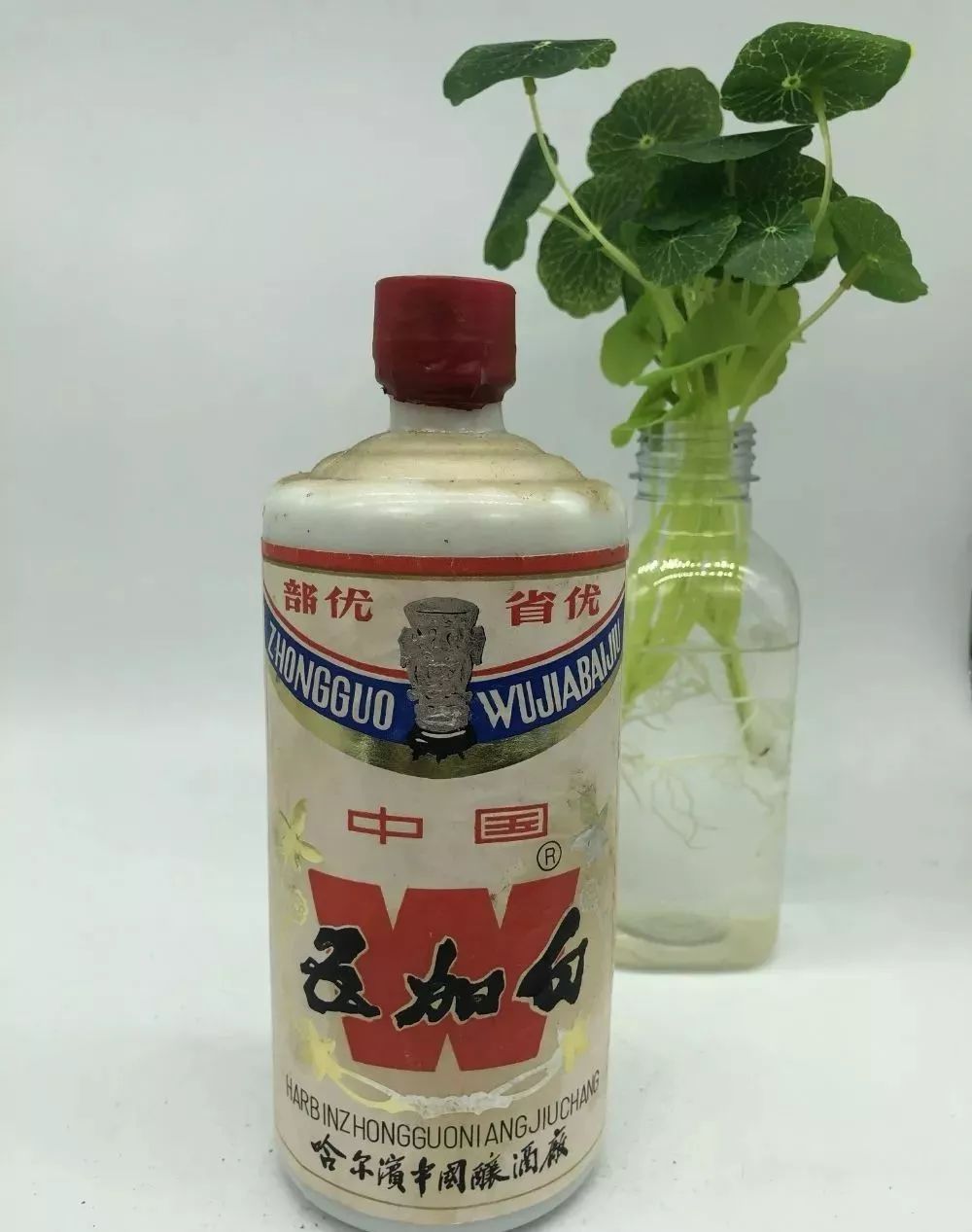 黑龙江省地方名优酒盘点