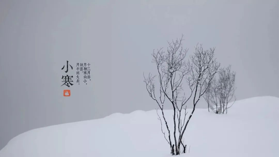 小寒,你喝酒御寒了吗?