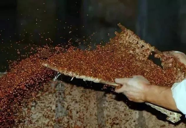 清香型白酒如何制作而成？