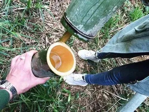 这几类酒都是忽悠人的，别再喝了！