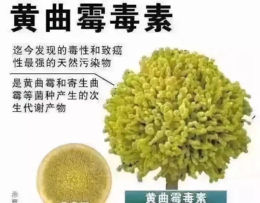 这几类酒都是忽悠人的，别再喝了！