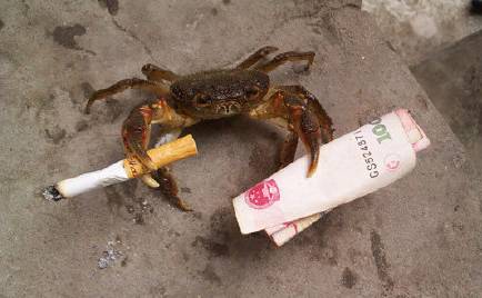 几个卖酒的搞笑段子。