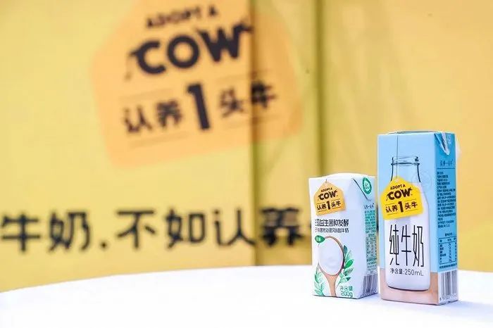 2020年食品行业新消费品牌表现及发展趋势(乳品饮料类)