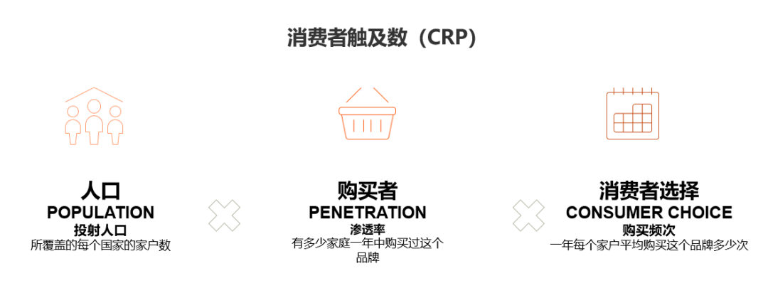 谁是中国消费者选择最多的快消品品牌？