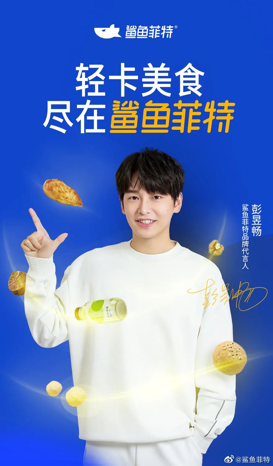 鲨鱼菲特，如何进化为敏锐的蓝海掠食者？