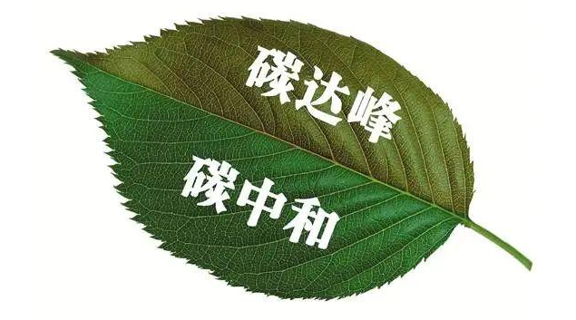 碳中和新“绿动”时代： 企业如何跨界抢食“市场肉夹馍”？