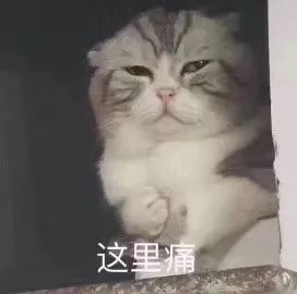 8亿人都在拼的拼多多，你上车了吗？