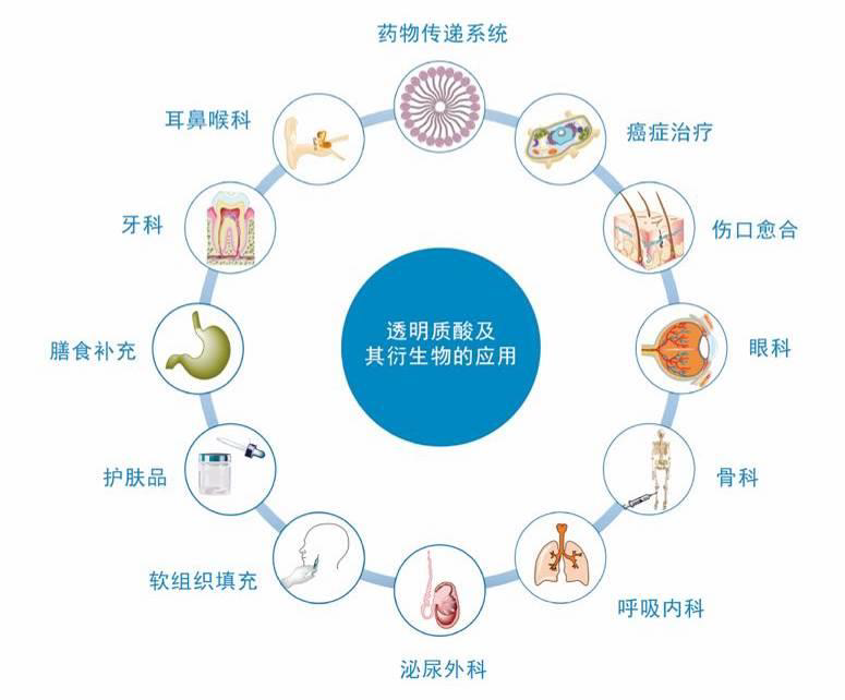 玻尿酸入食后新美容食品涌现，真的是一个好方向么？