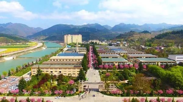 请回答2020:金徽酒用什么总结“这一年”?