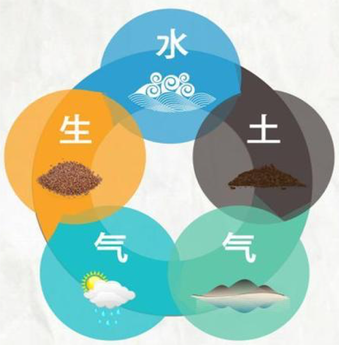 正确认识浓香型白酒的价值