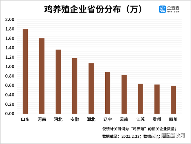 全国养鸡企业分布:共有15.14万家,山东、河南、河北居前三