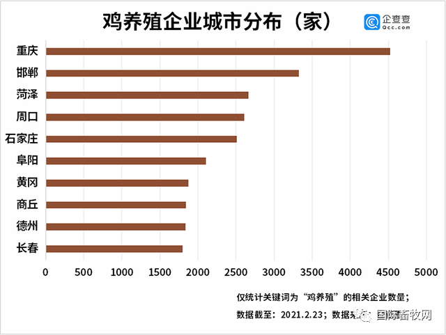 全国养鸡企业分布:共有15.14万家,山东、河南、河北居前三