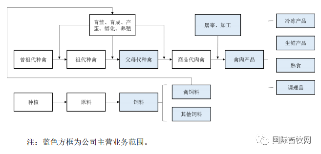 通过审核！家禽全产业链巨头江苏益客食品将在创业板上市！