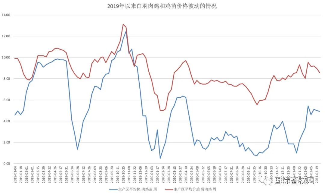 新一轮鸡周期将至?肉鸡产业链上市公司回应来了