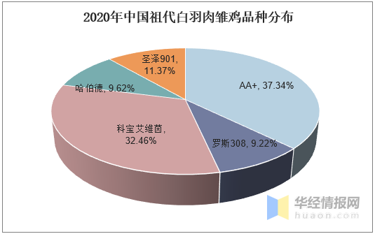 肉鸡行业发展现状和前景分析
