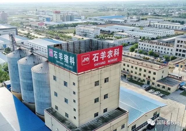 山东春雪、北农大、石羊集团…一大批农牧公司排队上市中!