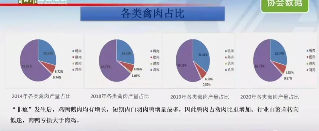 后非洲猪瘟时代,禽肉对猪肉替代消费量有多少?