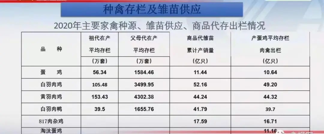 后非洲猪瘟时代,禽肉对猪肉替代消费量有多少?