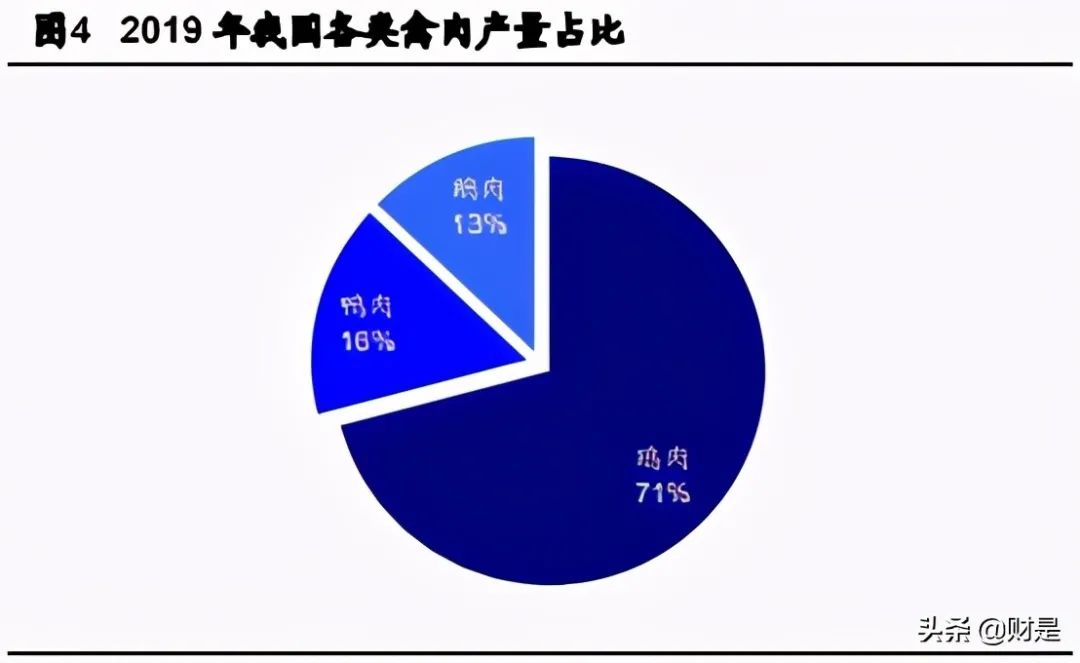 禽肉行业之鸡肉深度研究报告