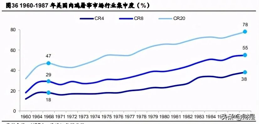 禽肉行业之鸡肉深度研究报告