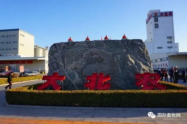 大北农聘任朱信阳担任公司执行总裁,分管饲料动保产业