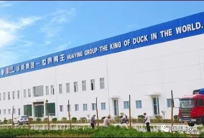 “中国鸭王”陨落