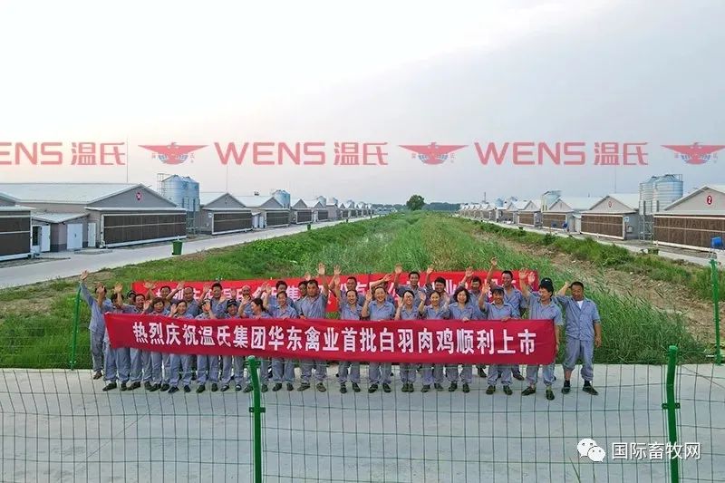 温氏华东禽业公司首批白羽肉鸡上市!