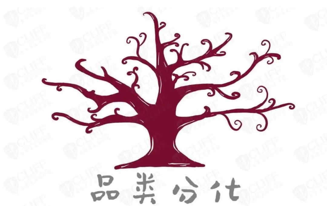 十问张云：2021年，企业家最关心的10个问题