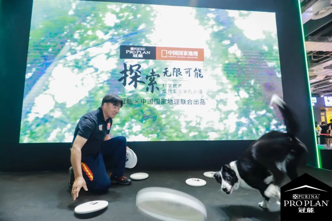 雀巢冠能携手小米智能生态营销,共同探索智能养宠新时代