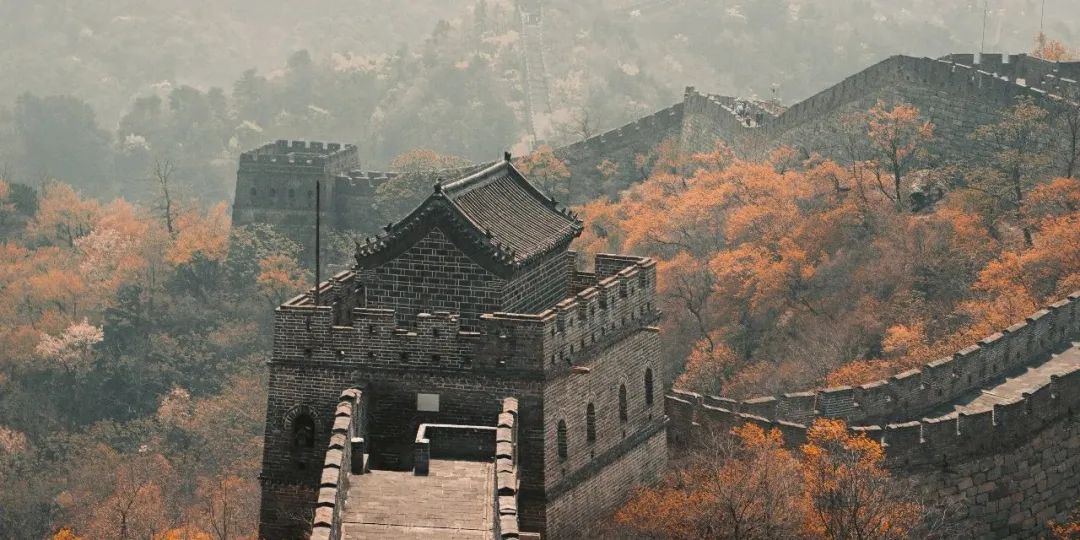 品牌建设预算呈下行趋势,品牌自信何来?