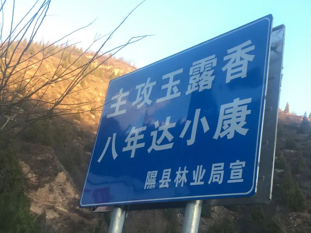 贾枭:品牌缔造价值