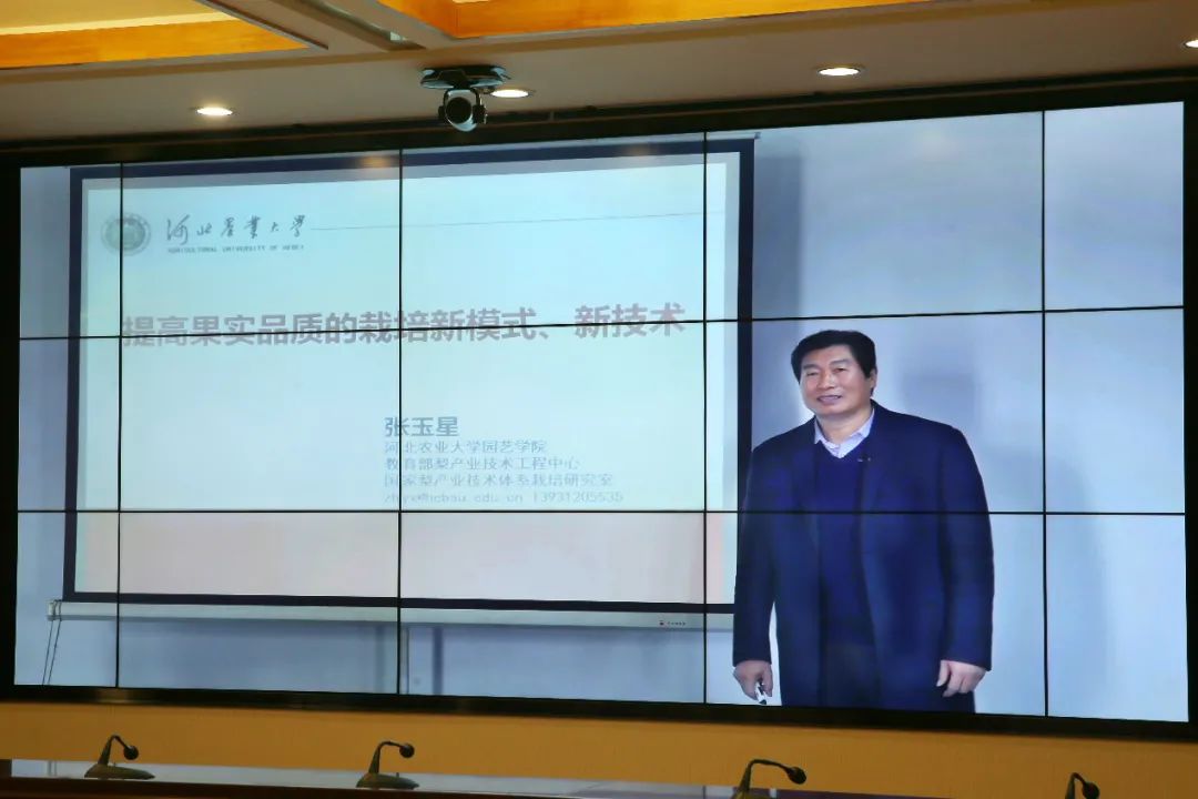河北农大张玉星:树上的果子地下管