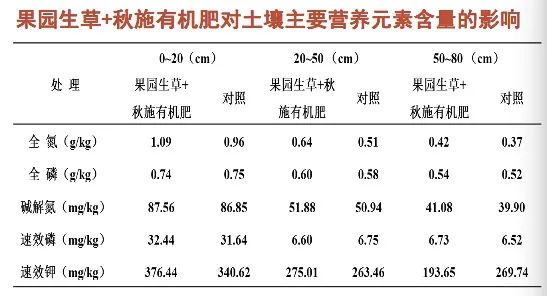 河北农大张玉星:树上的果子地下管