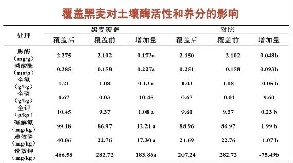 河北农大张玉星:树上的果子地下管