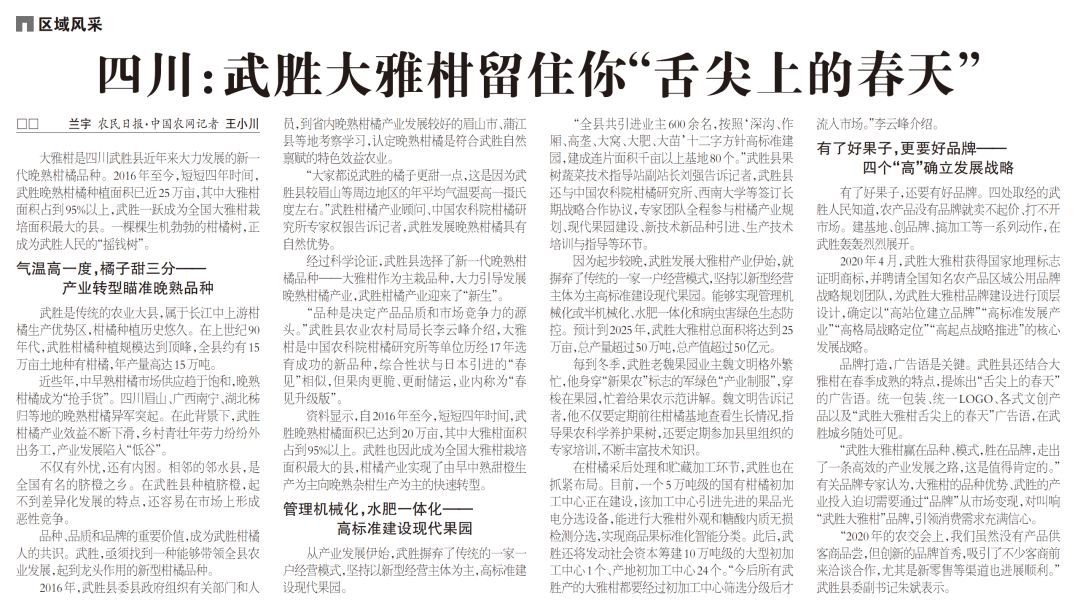 农民日报报道:武胜大雅柑留住你“舌尖上的春天”